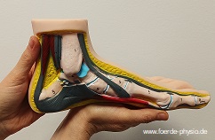 Schritt f&uuml;r Schritt zu mehr Leichtigkeit im Gehen und Laufen, die ATT-Fu&szlig;therapie